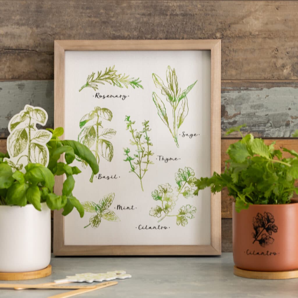 The Outside the Box Frame with various herbs chalked on it in Pesto Chalkology paste flanked by white and terracotta pots with live herb plants for the blog post "2024 Creative Kickstart Collection".